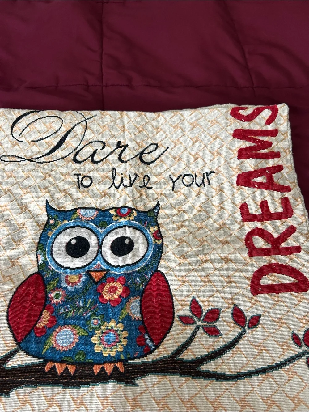 Whimsical Owl Decorative Pillow Covers - Neutral, Red, Teal Accents